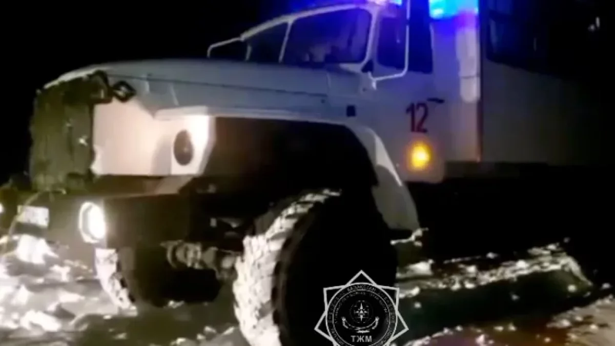 Ақтөбе облысында 13 ірі қара мал тиелген көлік қар құрсауында қалып қойды