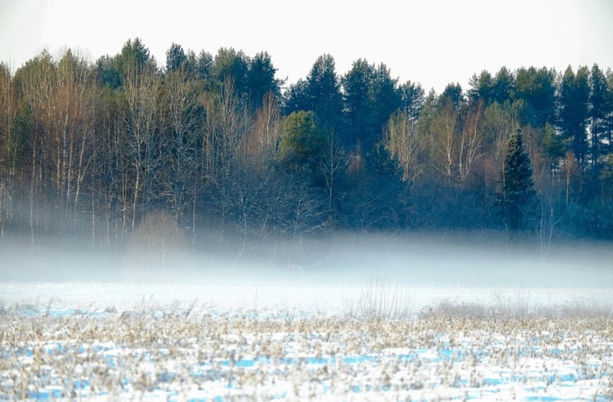 Туманный понедельник грядёт у жителей казахстанских мегаполисов 10 февраля