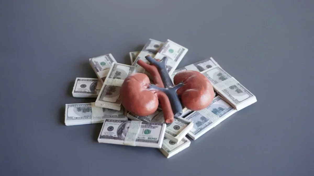 Польшада қазақстандықтардың бүйрегін сатқан әйел ұсталды