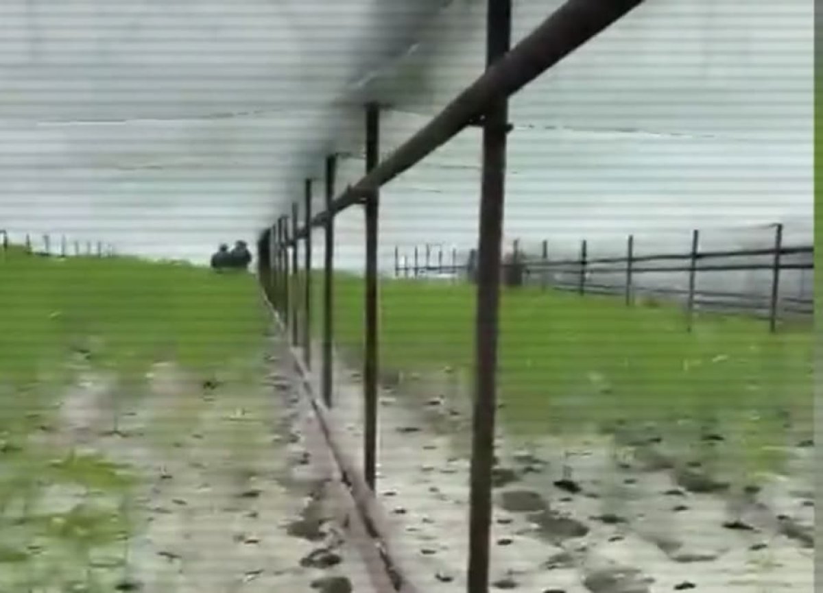 ОПГ разбила гигантскую теплицу с коноплей в Алматинской области (ВИДЕО)