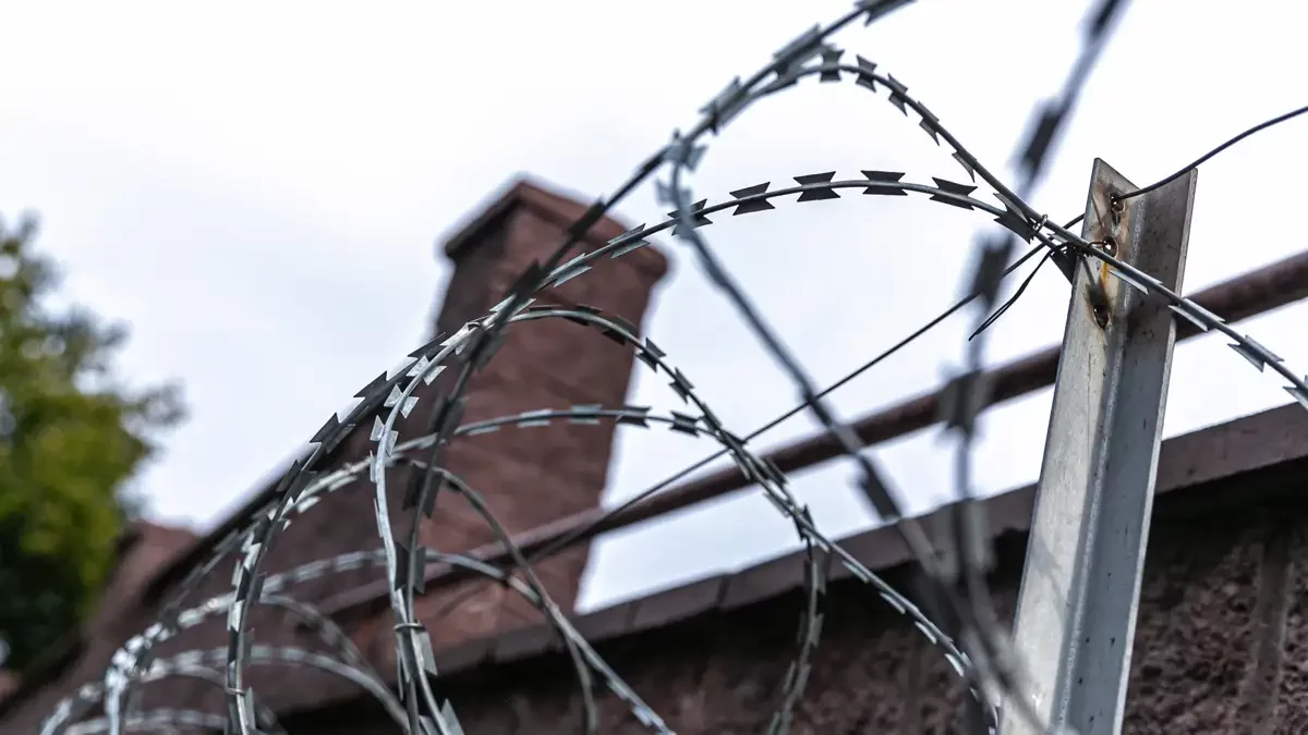 Әдемі жалаңаш қыздар мен кискалар