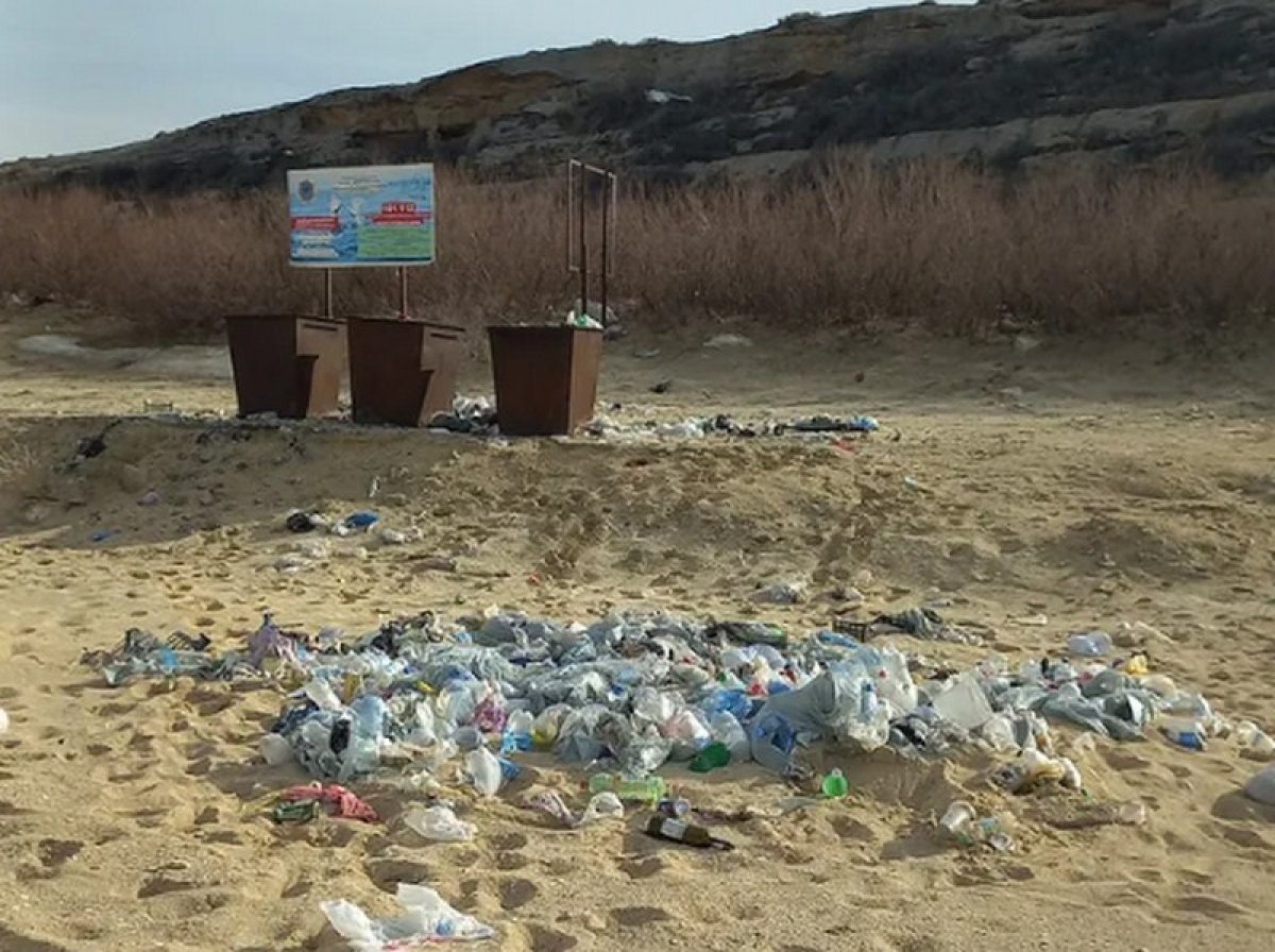 Мертвые птицы и мусор: отдыхающие возмутились состоянием пляжа в Мангистау