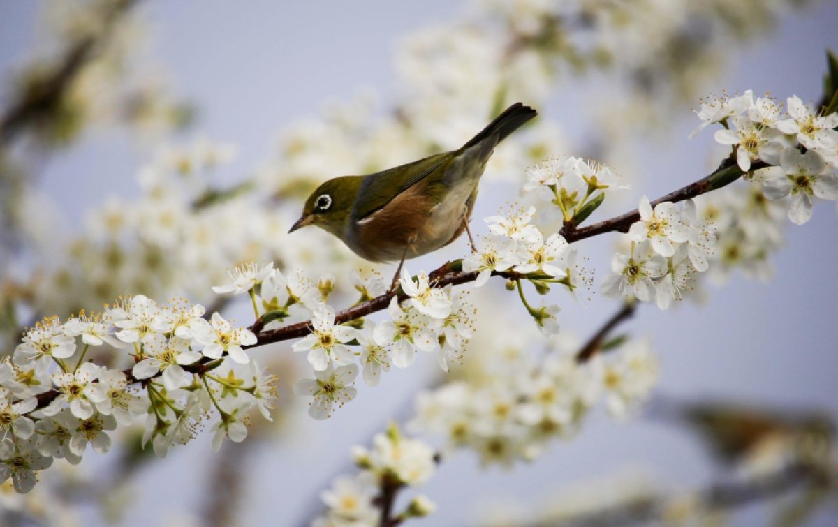 Сухо и до +25: прогноз погоды в мегаполисах страны на вторник, 18 марта