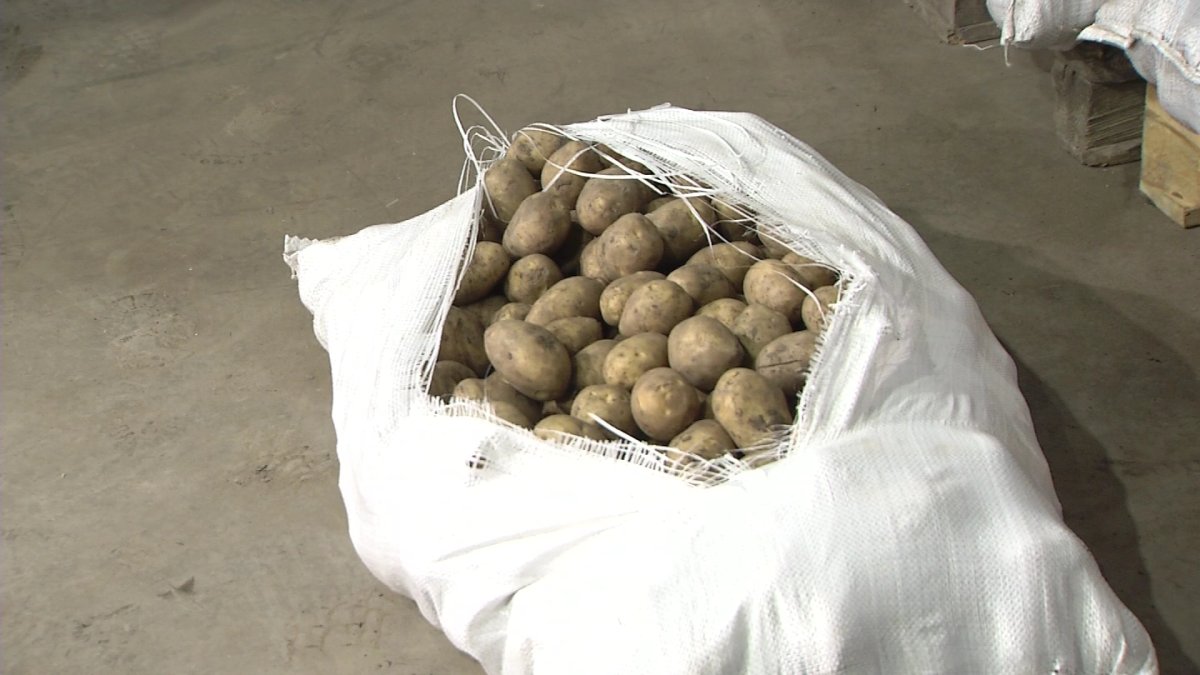 "Картоптың бағасы маусымаралық кезінде қымбаттай береді", - Е. Тасжүреков
