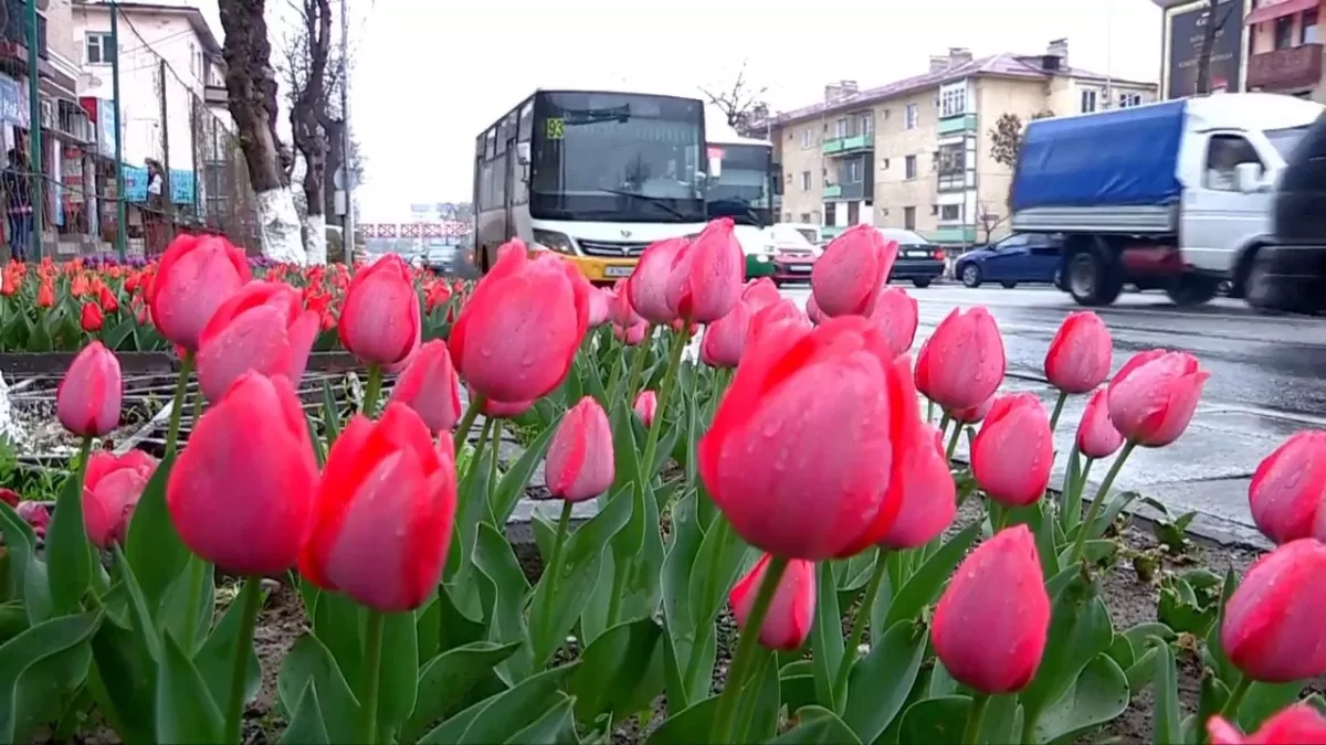 До 30 тепла в Шымкенте: погода в мегаполисах в среду, 19 марта