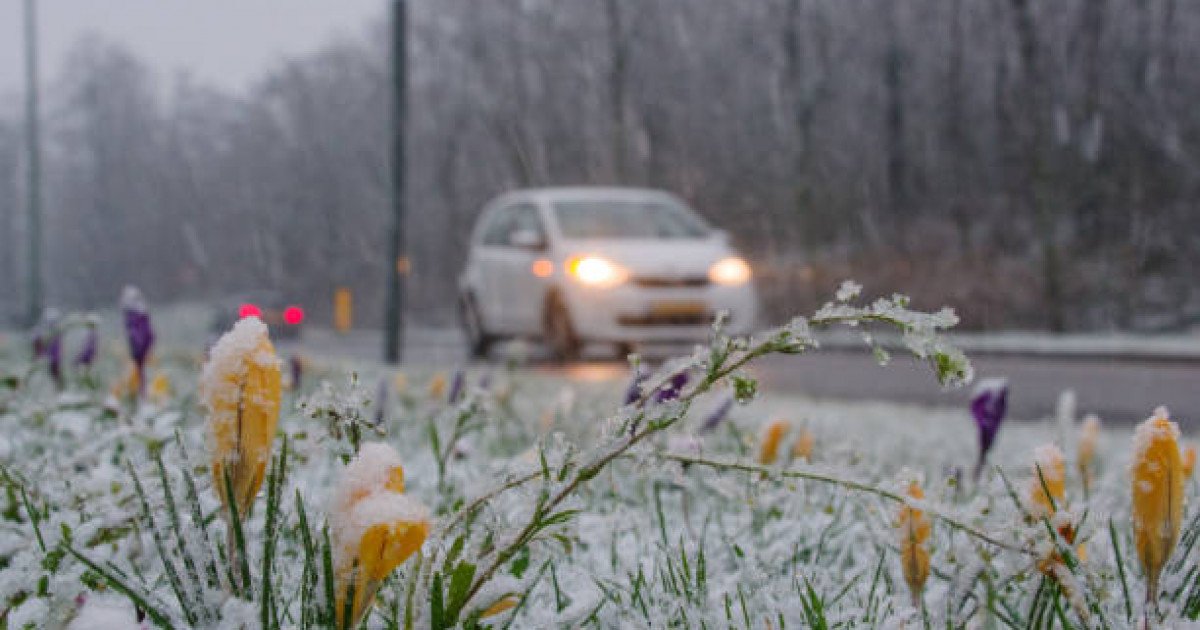 Наурыз мерекесі қарсаңында елімізде ауа райы қандай болады?
