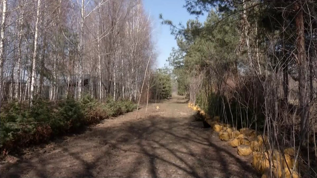 «Мечтаю посадить лес»: глава питомника в Алматинской области закладывает новые идеи и цели для экологии страны