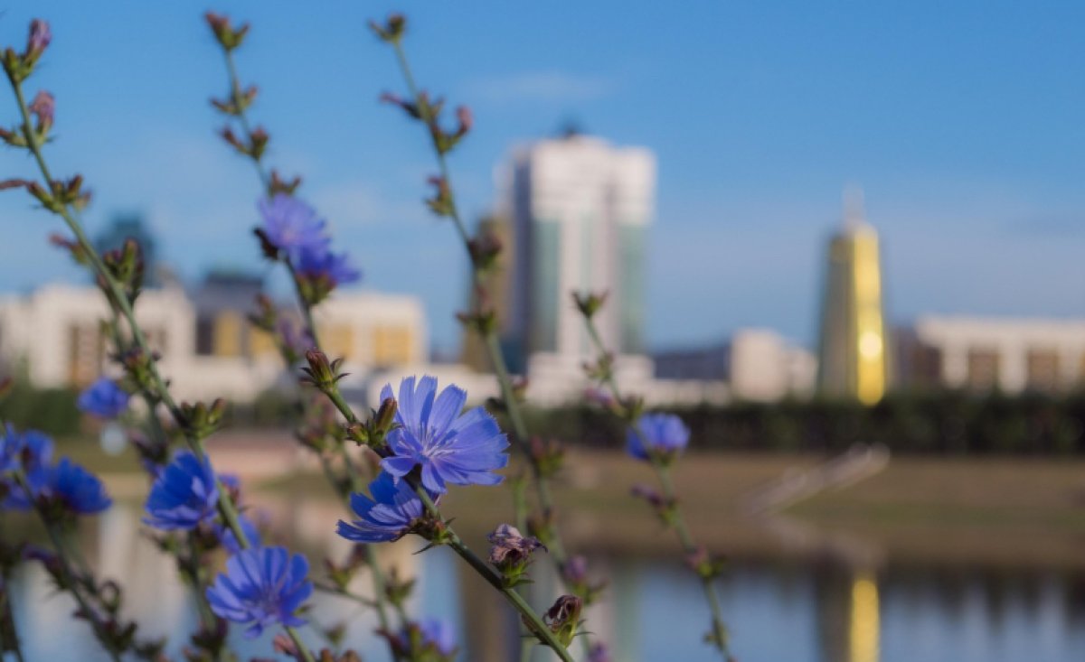 Президент Словении посетит Казахстан