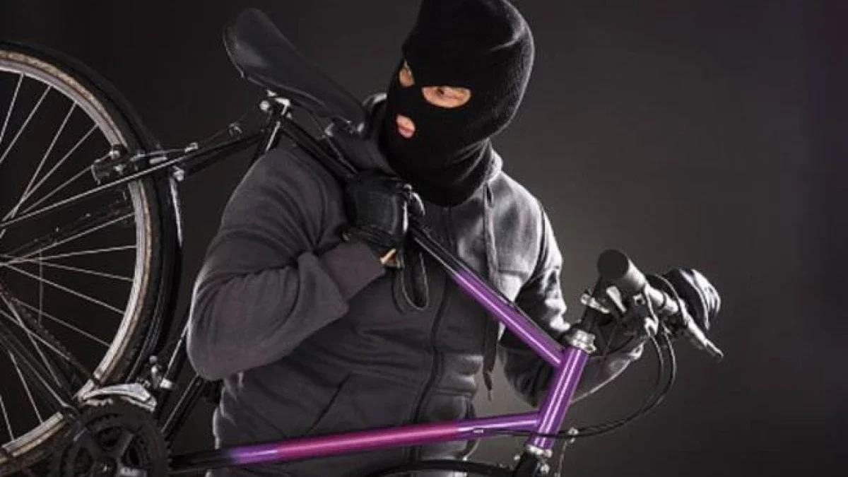 Талдықорғанда өзгенің велосипедін тартып алған күдікті ұсталды
