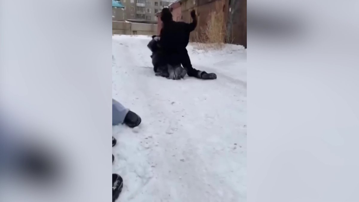 Павлодарда оқушы қыз қатарласын аяусыз соққыға жыққан