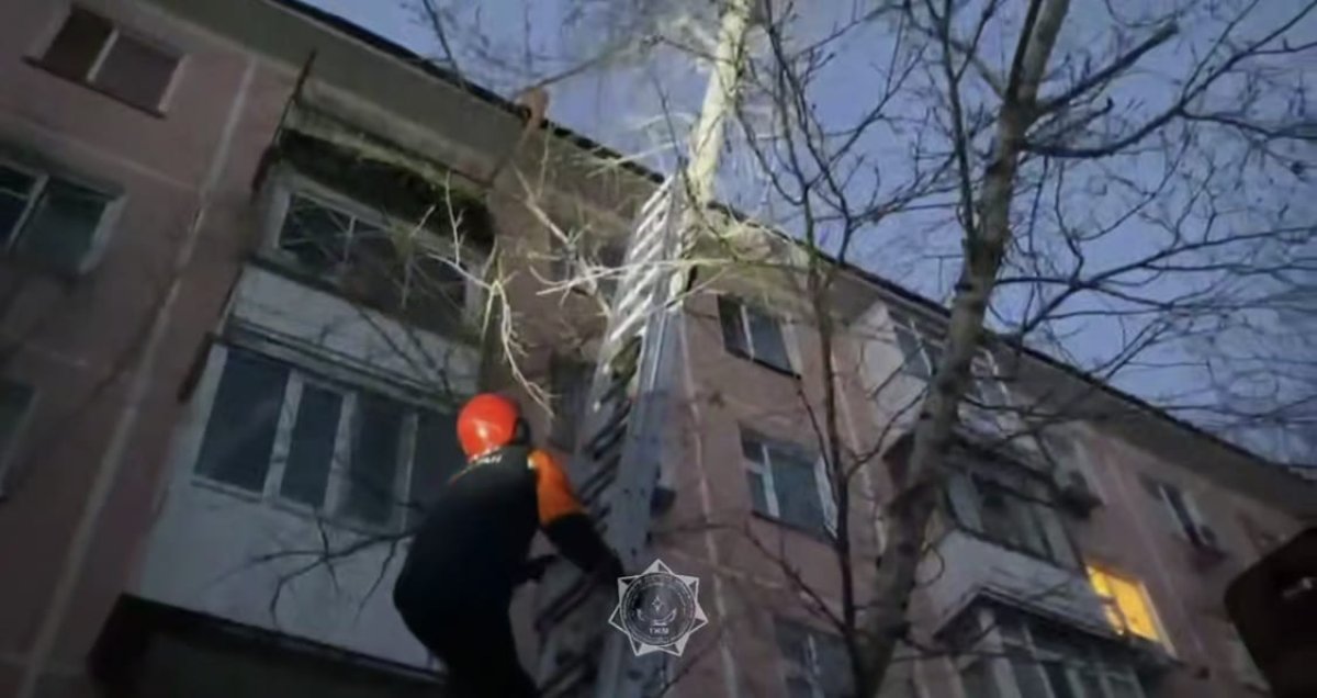 Кошку с высоты пятиэтажного дома пришлось снимать столичным спасателям