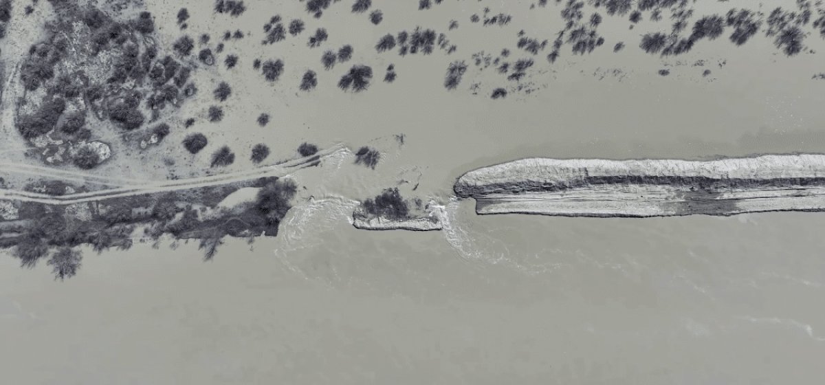 Атырауских фермеров из-за паводков обязали перегнать скот на возвышенности