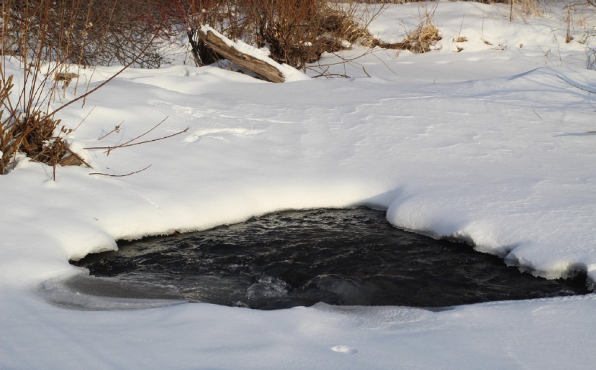 Три человека погибли в России, провалившись под лёд