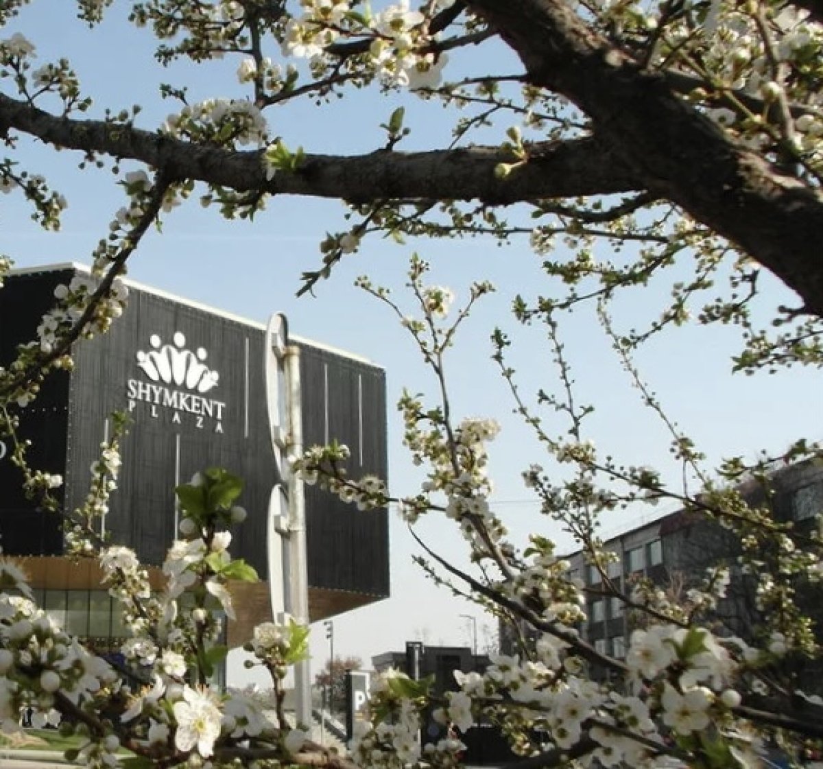 Погоду без осадков обещают синоптики в Астане, Алматы и Шымкенте 31 марта