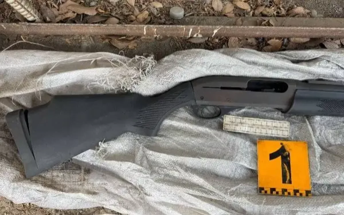 Қазақстан халқының неше пайызы үйінде қару ұстайды