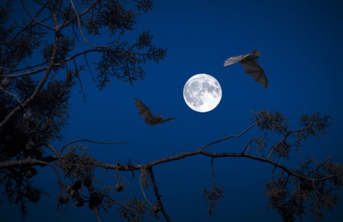 Трассы закрыты в 5 регионах Казахстана из-за непогоды