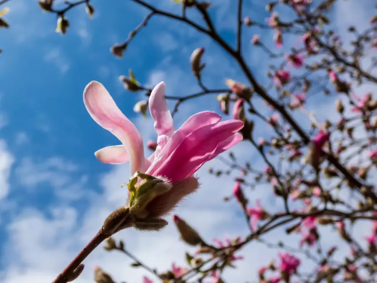 Алдағы күндері ауа райы қандай болады?