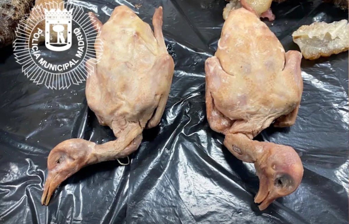 Мясо городских голубей выдавали за утку по-пекински в китайском ресторане