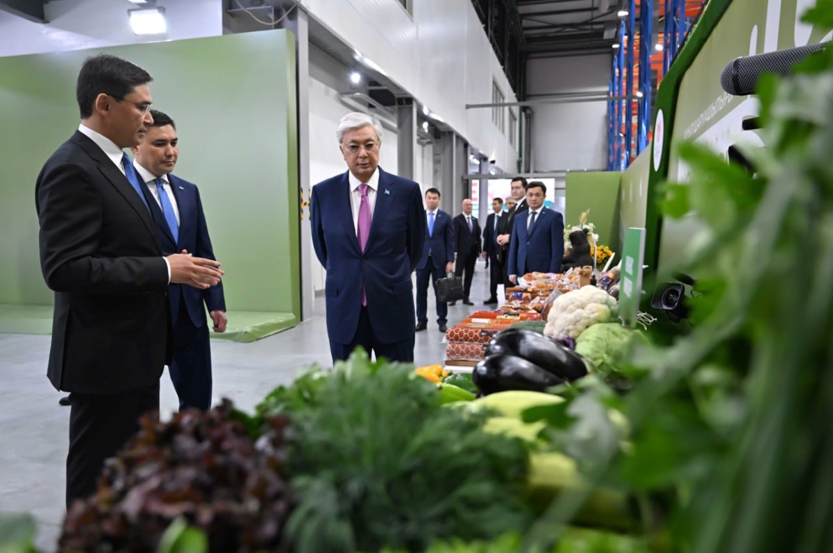 Выставку шымкентской сельхозпродукции посетил Президент