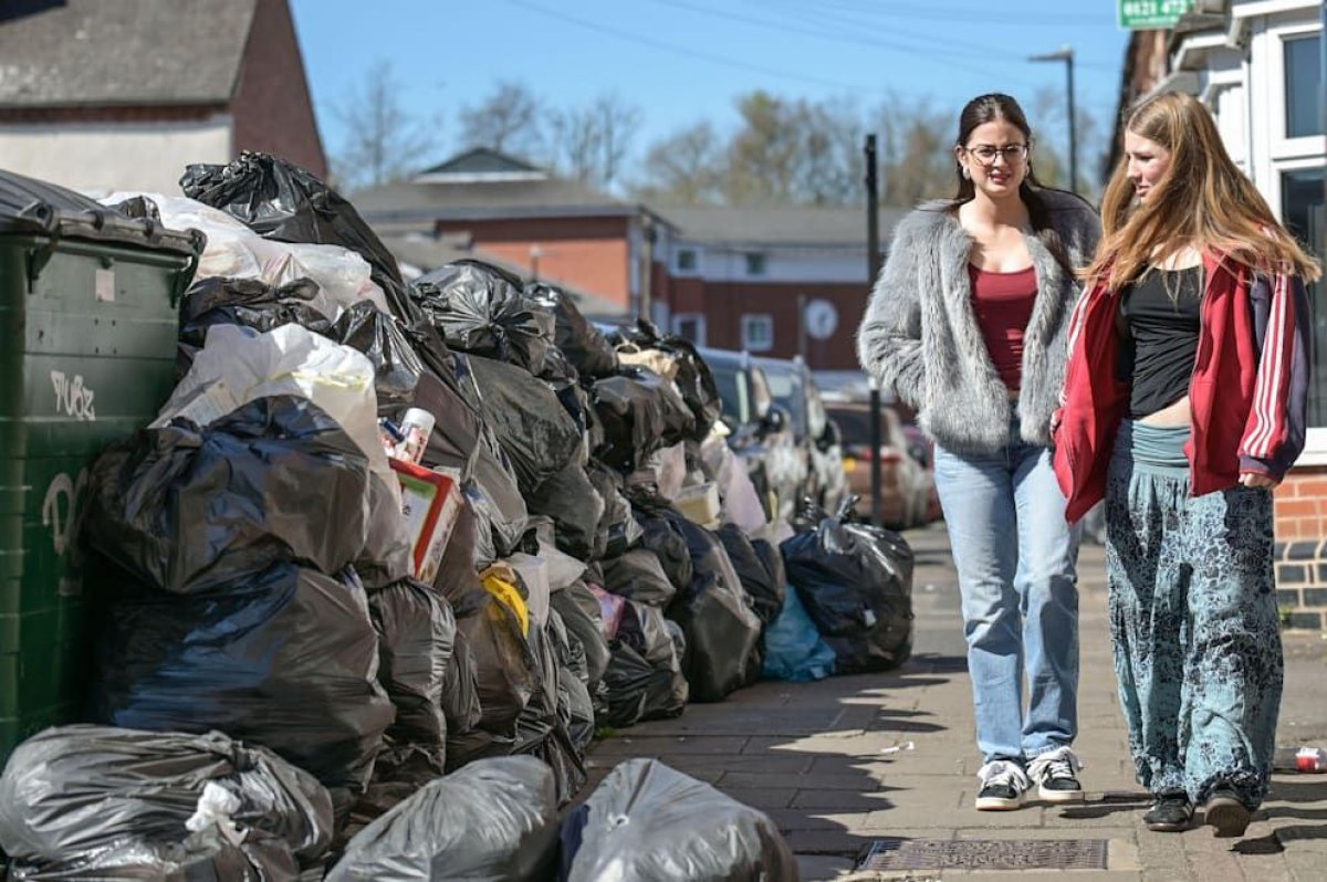 Крысы размером с кошку: из-за забастовок второй по величине город Великобритании утонул в мусоре