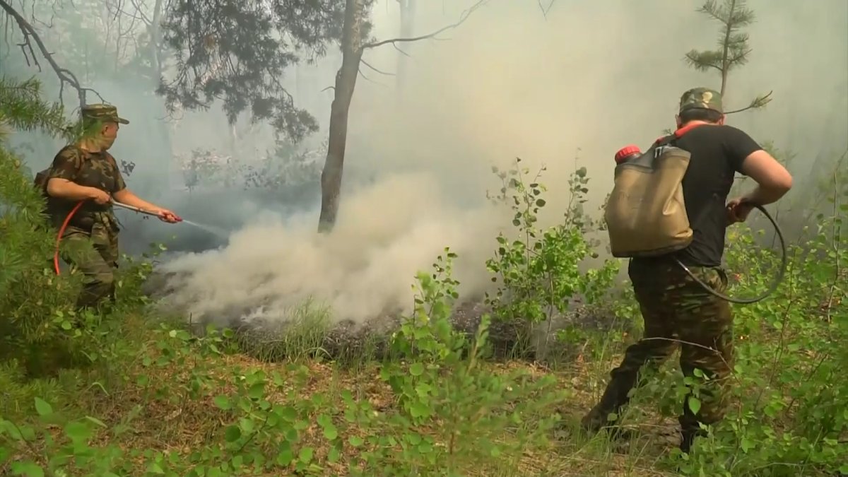 Экология министрі Үкімет басшысынан көмек сұрады