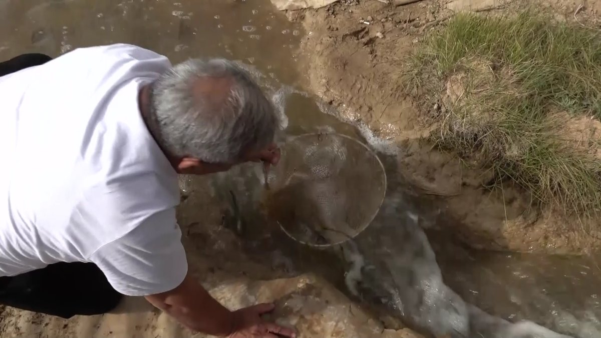 Ловить раков запретили в Западно-Казахстанской области
