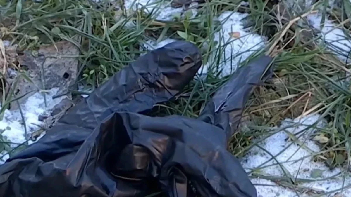 Шымкентте шешесін өлтірген жігіт жазадан құтылып кетті