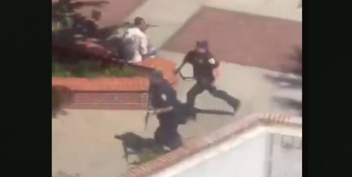 Пять человек погибли при нападении на университет в американской Флориде