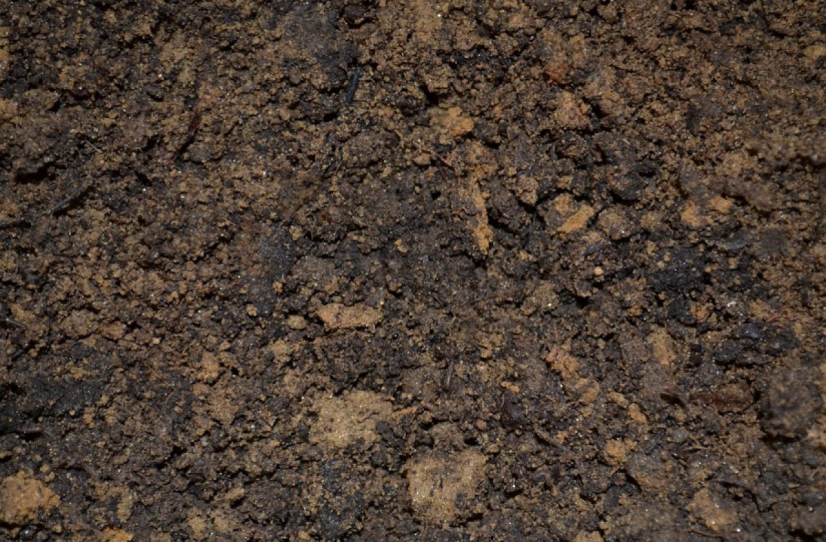 Полная людей легковушка застряла в грязи в Костанайской области