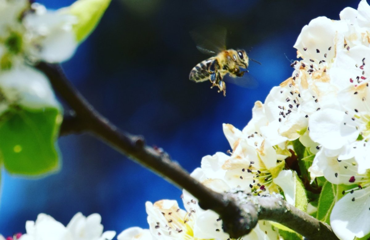 В Астане - гололёд, в Шымкенте - 25 градусов тепла: прогноз погоды в мегаполисах на 2 апреля