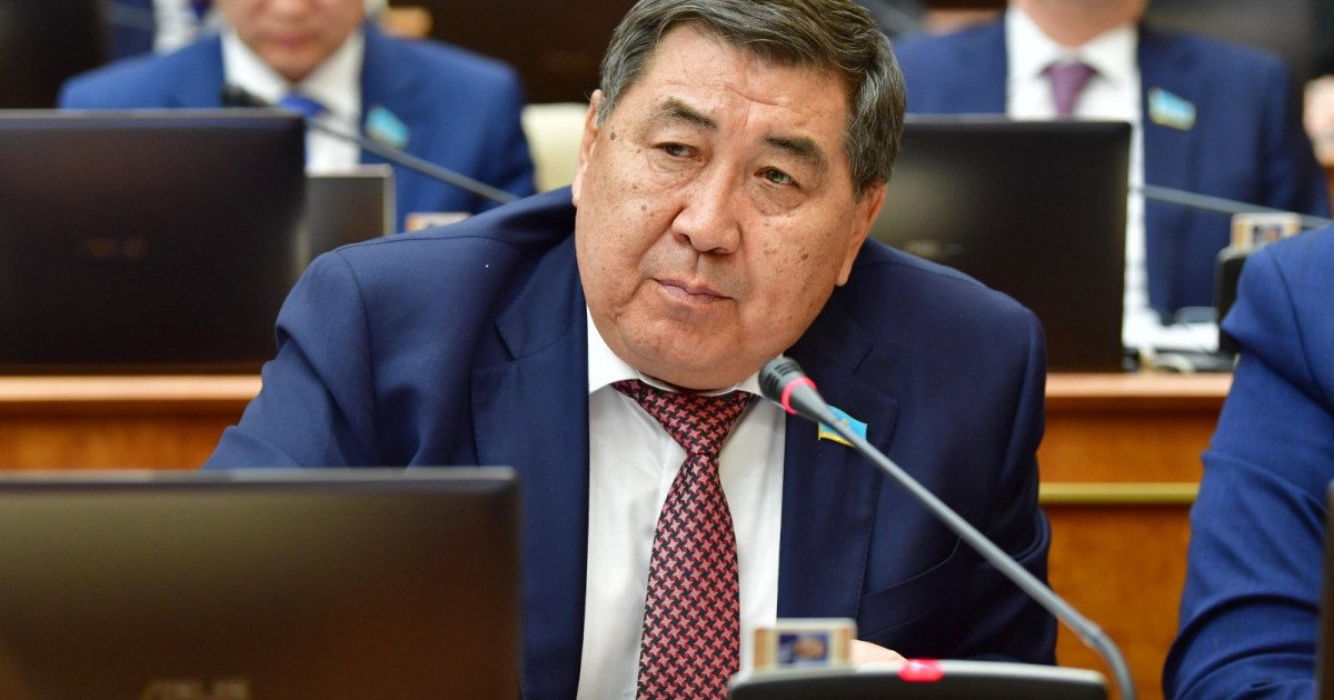 "Мемлекеттік туды қорлау – бүкіл халықты, тұтас мемлекетті қорлау"-депутат Туды қорлағандарды қатаң жазалауды ұсынды