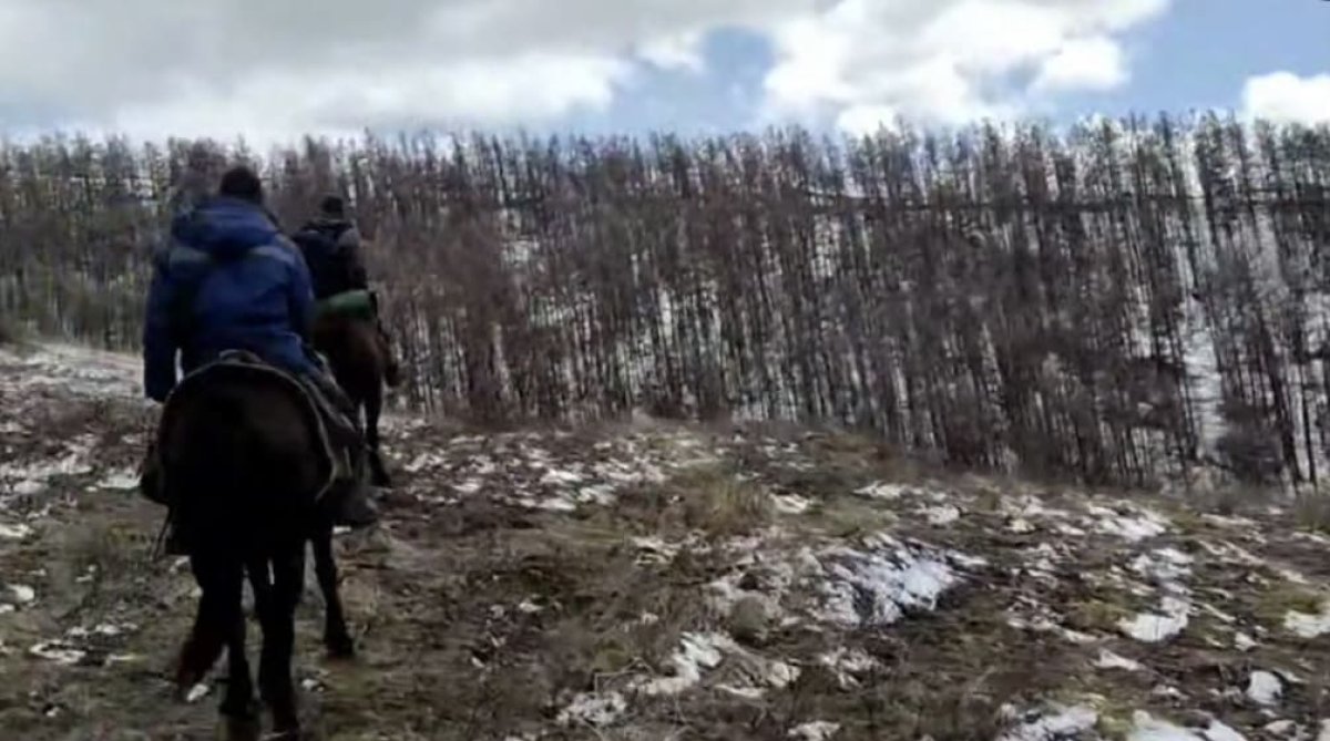 Без связи и снаряжения: трое всадников пропали в маркакольских лесах