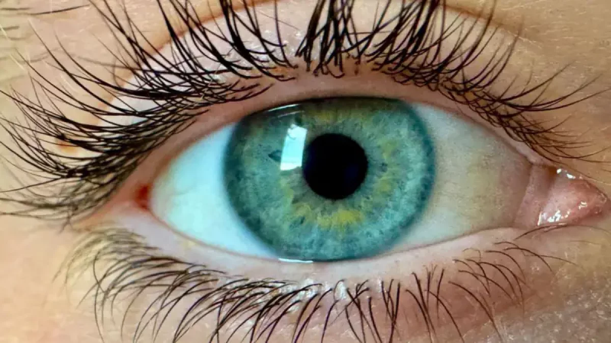 Учёные нашли новый цвет, который «еще никто не видел»