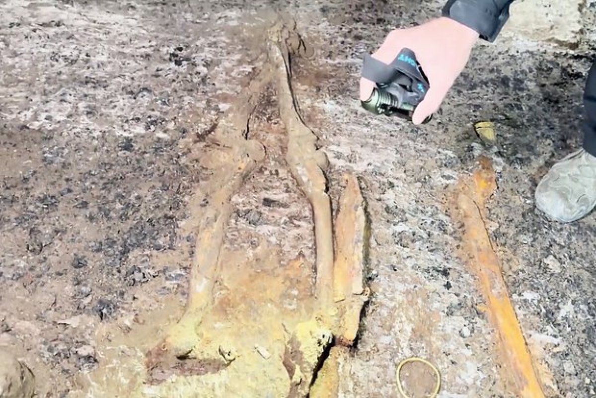 Археологи сообщили о сенсационной находке на Северном Кавказе