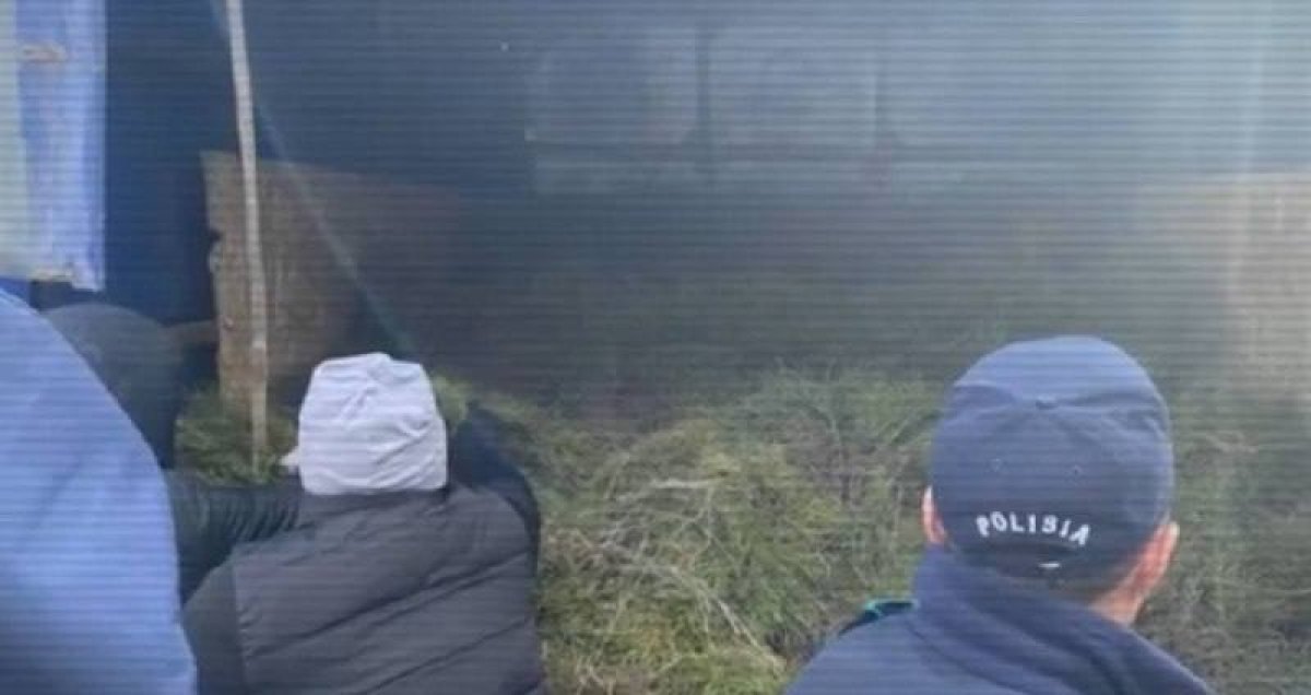 Бывших сотрудников "Семей орманы" подозревают в хищении саженцев сосны