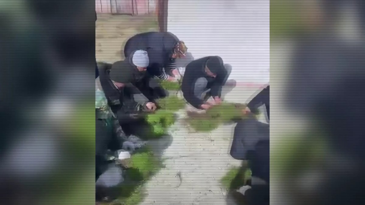 Бывших работников резервата "Семей орманы" подозревают в масштабных хищениях саженцев