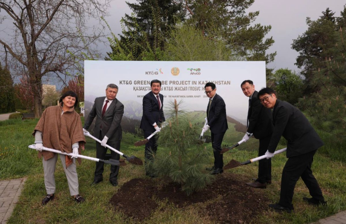 Южная Корея займётся восстановлением лесов в области Абай