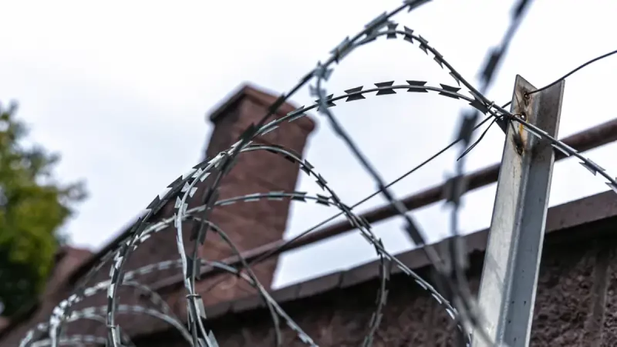 Оралда қарасора өсірумен айналысқан адвокат 6 жылға сотталды