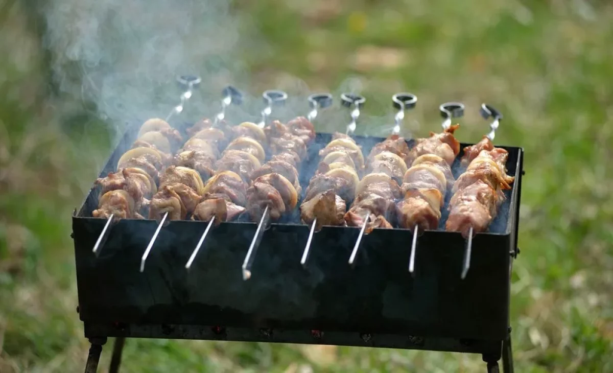 Запрет на костры и мангалы на дачах разъяснили в МЧС