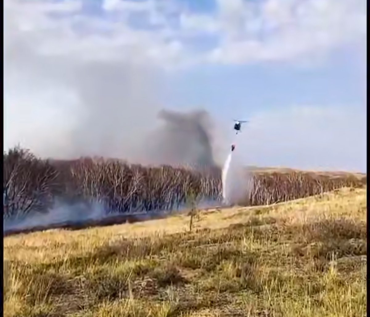 Природный пожар тушат в Карагандинской области