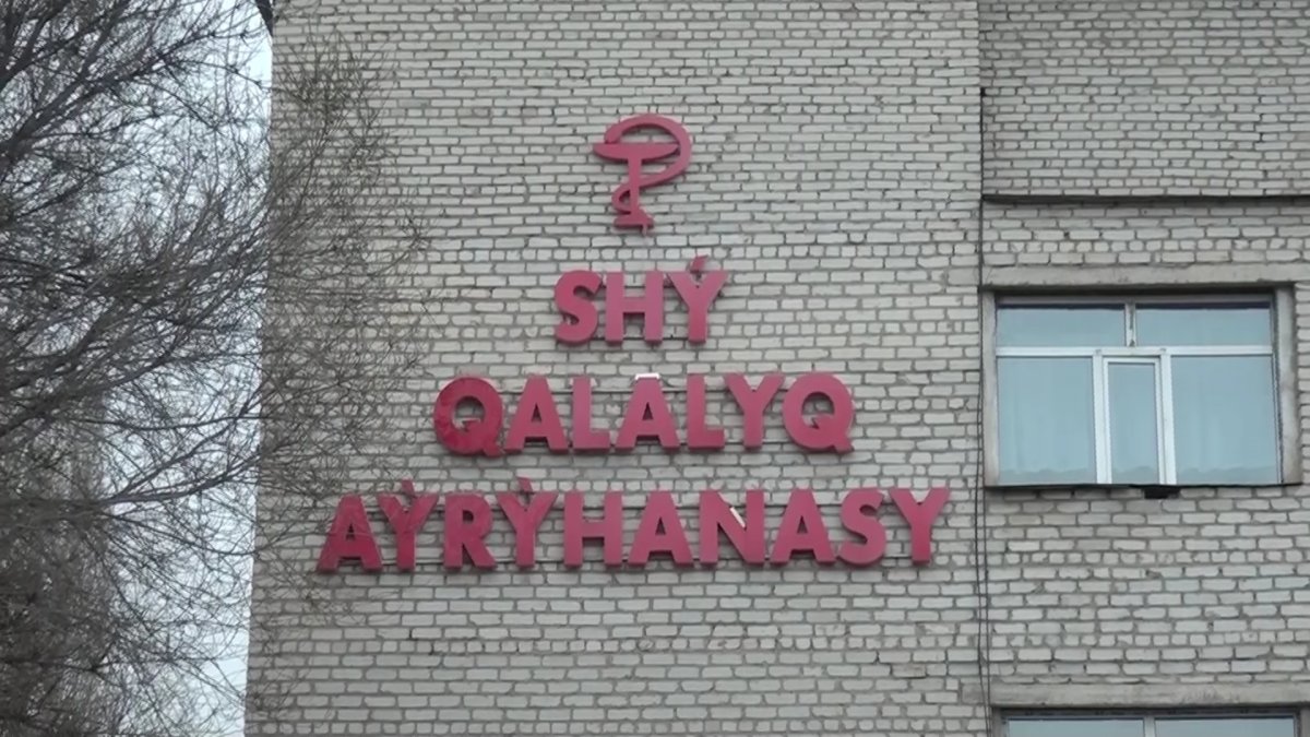 Жамбыл облысында жүкті әйелдерге көмек көрсететін барлық емдеу мекемелері тексеріліп жатыр