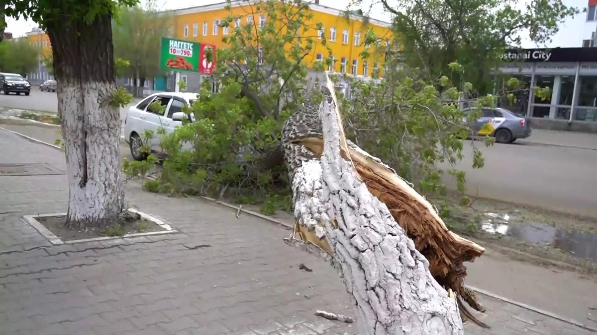 Сорванные крыши и поваленные деревья: в Костанае 2-ой день бушует ураган