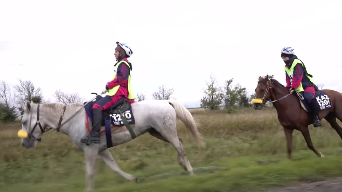 "Ұлы дала жорығы" марафон-бәйгесі басталады