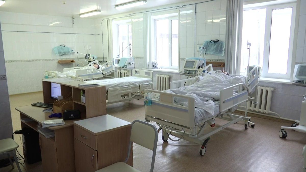 СҚО-да зейнеткердің басына ағаш құлады