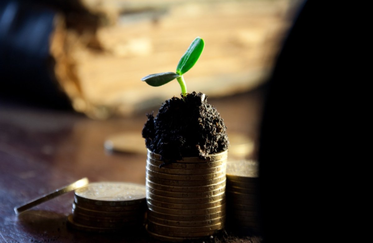 Для Овнов самое время обсудить зарплату, важные встречи ждут Львов: гороскоп на 4 апреля