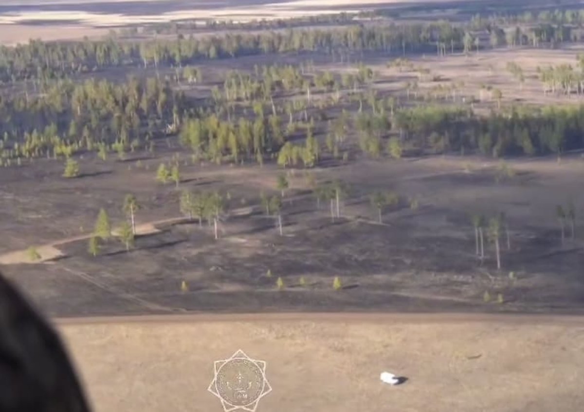 Последствия крупного пожара в Семей орманы показали спасатели (ВИДЕО)