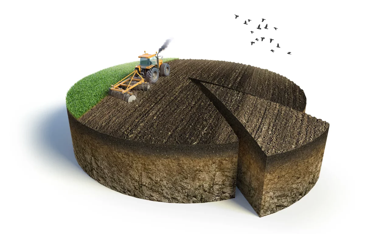 Землю под Ерейментау на 83 миллиона тенге вернули в госсобственность