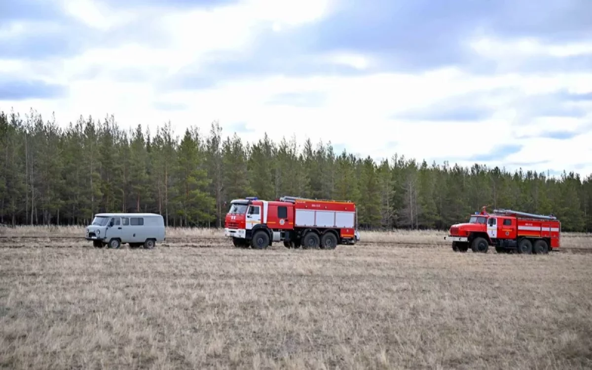 Абай облысындағы өрт: 400 гектар орман алқабы жанып кетті