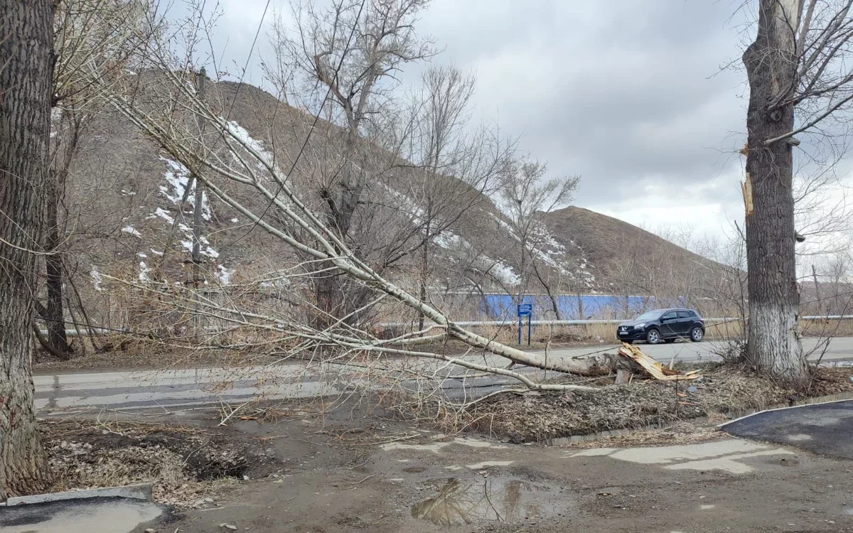 В ВКО ликвидируют последствия ураганного ветра