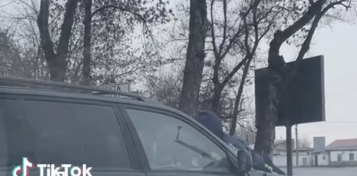 Шымкентца отправили в тюрьму за «поездку» с полицейским на капоте